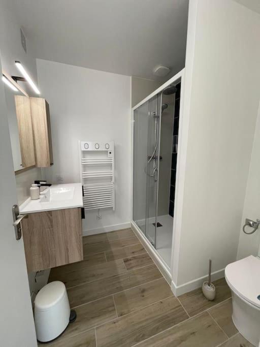 Appartement Proche Stade/Eurexpo Décines-Charpieu Dış mekan fotoğraf