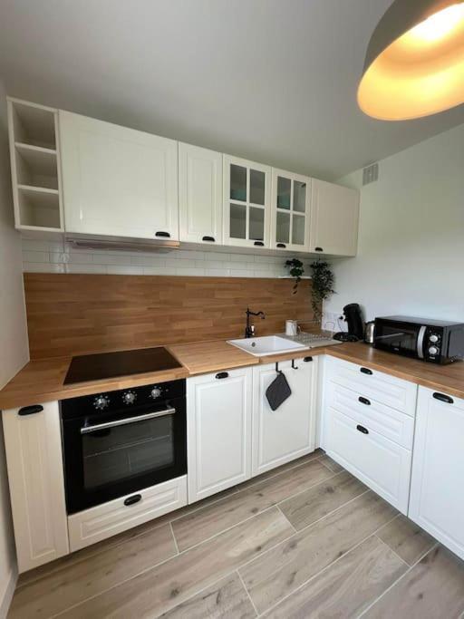 Appartement Proche Stade/Eurexpo Décines-Charpieu Dış mekan fotoğraf